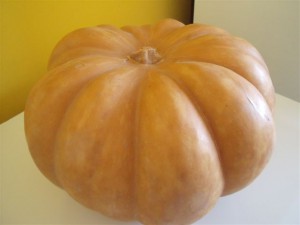 pompoen, funs lemmens