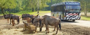 familiedag contactgroep marfan nederland, funs lemmens, beekse bergen, tilburg