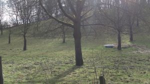 2017 wandeling Munstergeleen, funs lemmens, marfan, inklapbare scoot