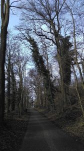 wandeling lucht, 2017 wandeling Munstergeleen, funs lemmens, marfan, inklapbare scoot