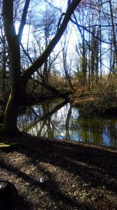 roeivijver sittard, galaxy 3 plus, marfan syndroom, testrit